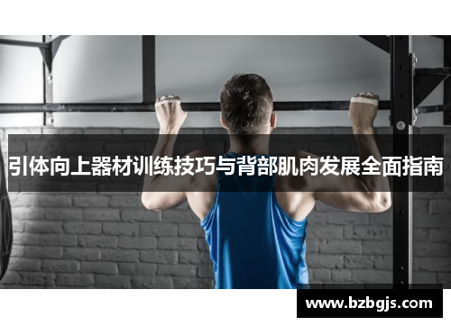 引体向上器材训练技巧与背部肌肉发展全面指南