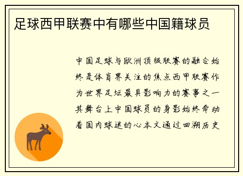 足球西甲联赛中有哪些中国籍球员